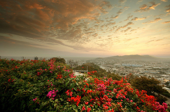 You are currently viewing Copa: New York – Guayaquil, Ecuador. $315. Roundtrip, including all Taxes