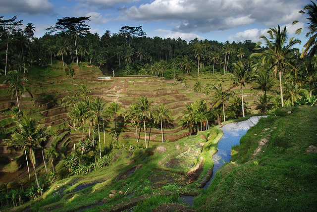 You are currently viewing American: Portland – Bali, Indonesia. $436. Roundtrip, including all Taxes