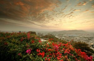 Read more about the article jetBlue: Los Angeles – Guayaquil, Ecuador. $428. Roundtrip, including all Taxes