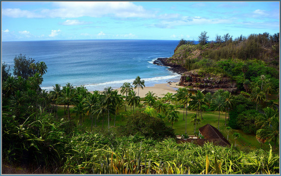 Read more about the article American: Phoenix – Kauai, Hawaii. $338. Roundtrip, including all Taxes