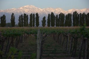 Read more about the article Copa: San Francisco – Mendoza, Argentina. $598. Roundtrip, including all Taxes