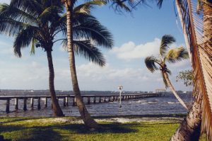 Read more about the article United: Newark – Fort Myers, Florida (and vice versa). $50 (Basic Economy) / $120 (Regular Economy). Roundtrip, including all Taxes