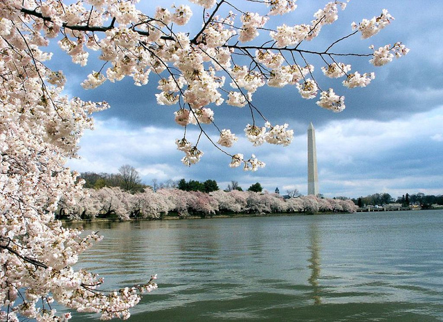You are currently viewing United: Portland – Washington D.C. (and vice versa) $163 (Basic Economy) / $181 (Regular Economy). Roundtrip, including all Taxes