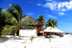 Read more about the article American: San Francisco – Cozumel, Mexico. $315. Roundtrip, including all Taxes