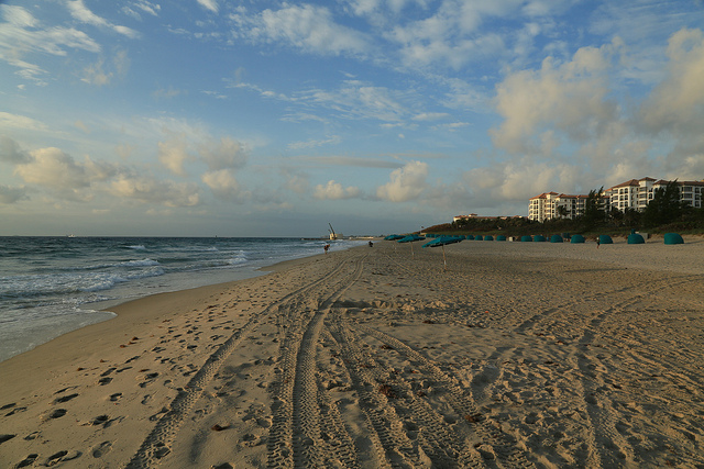 You are currently viewing American: Portland – West Palm Beach, Florida (and vice versa). $254. Roundtrip, including all Taxes