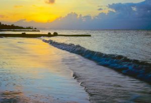 Read more about the article American: Los Angeles – Montego Bay, Jamaica. $399 (Basic Economy) / $479 (Regular Economy). Roundtrip, including all Taxes